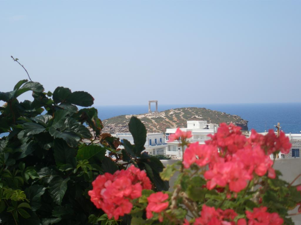 Chateau Zevgoli Naxos City エクステリア 写真