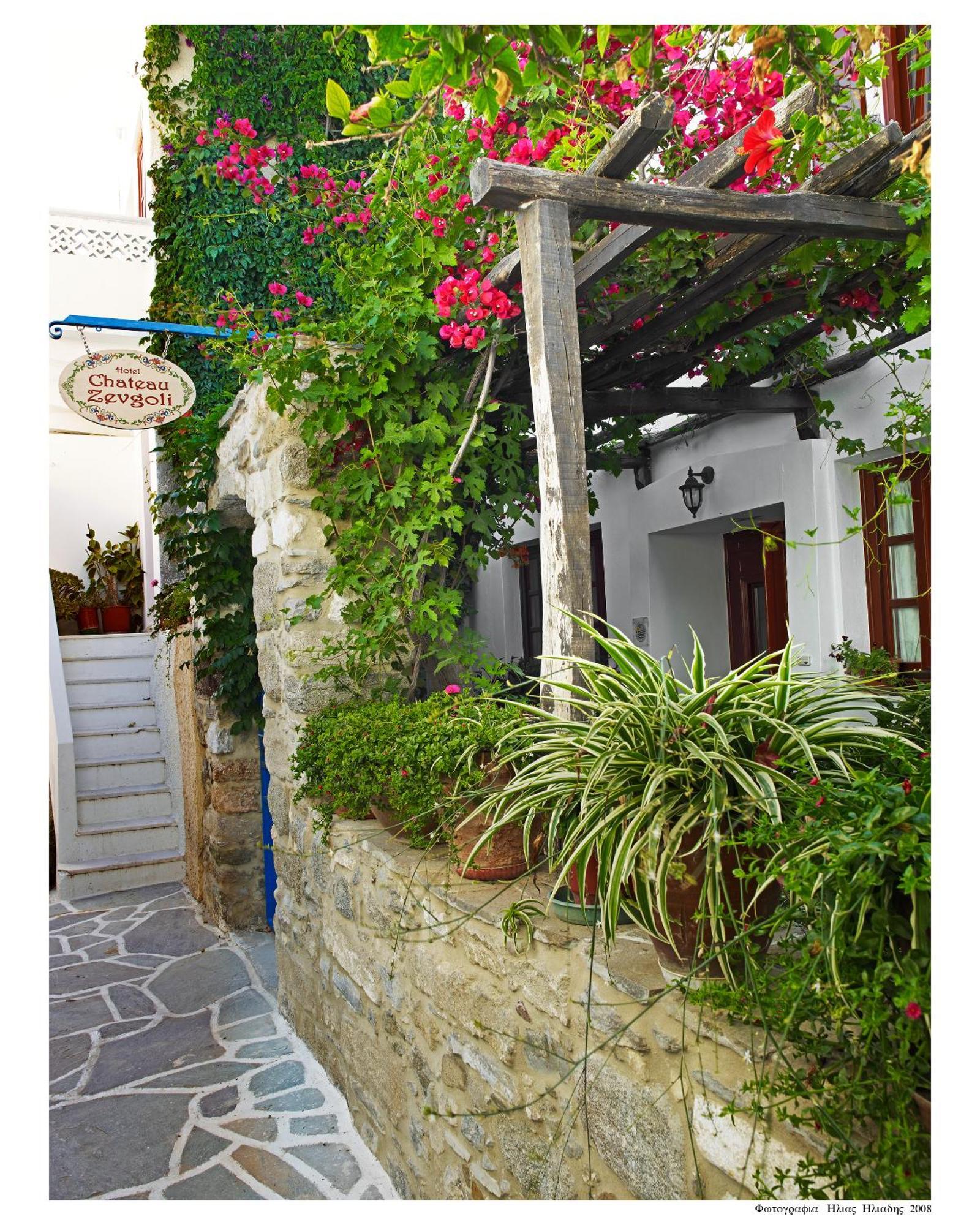 Chateau Zevgoli Naxos City エクステリア 写真